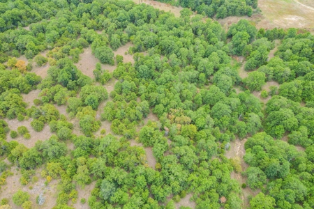 Hunting/Recreational Property With Creeks and Food Plots - image 17