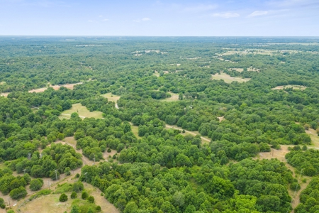 Hunting/Recreational Property With Creeks and Food Plots - image 22