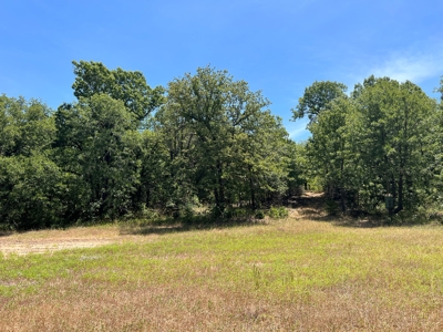Hunting/Recreational Property With Creeks and Food Plots - image 10