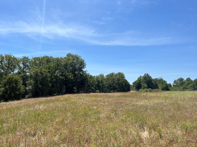 Hunting/Recreational Property With Creeks and Food Plots - image 2