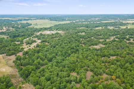 Hunting/Recreational Property With Creeks and Food Plots - image 18