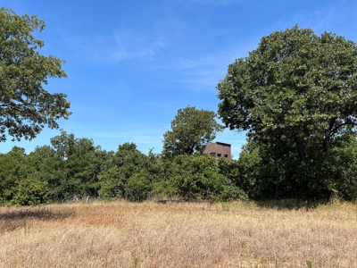 Hunting/Recreational Property With Creeks and Food Plots - image 7