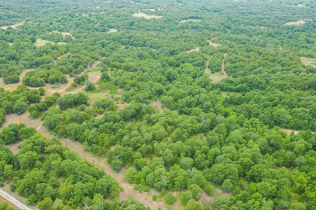 Hunting/Recreational Property With Creeks and Food Plots - image 20