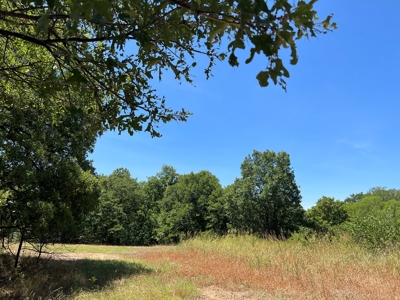 Hunting/Recreational Property With Creeks and Food Plots - image 11