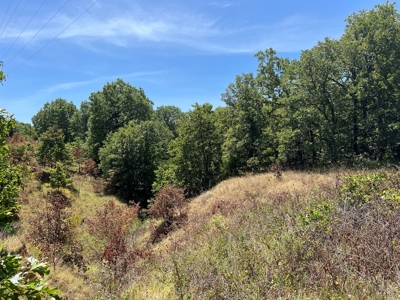 Hunting/Recreational Property With Creeks and Food Plots - image 5