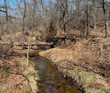 Hunting/Recreational Property With Creeks and Food Plots - image 14