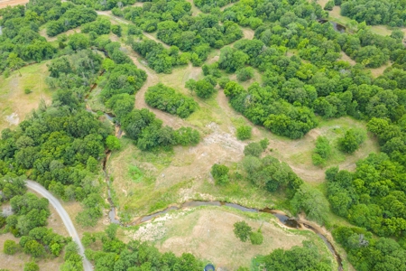 Hunting/Recreational Property With Creeks and Food Plots - image 23