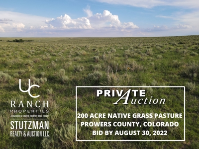 Prowers County, Colorado ~ 200 Acres ~ Private Auction - image 6