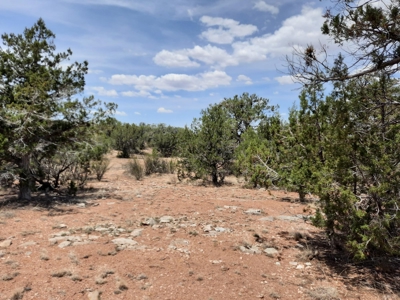 This beautiful 2 acre off- grid property - image 4