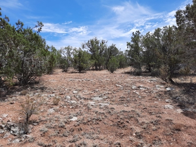 This beautiful 2 acre off- grid property - image 8