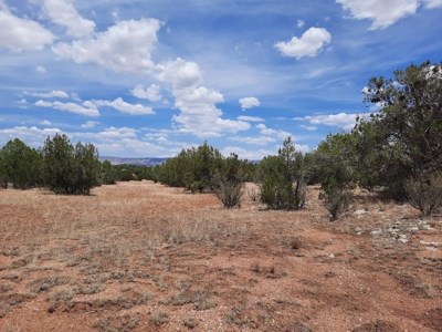 This beautiful 2 acre off- grid property - image 7