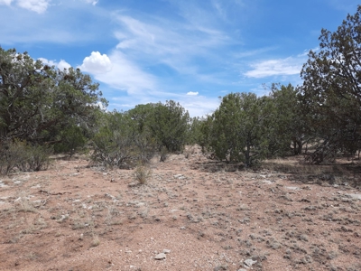This beautiful 2 acre off- grid property - image 6