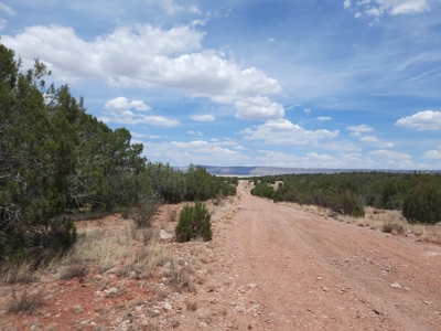 This beautiful 2 acre off- grid property - image 2