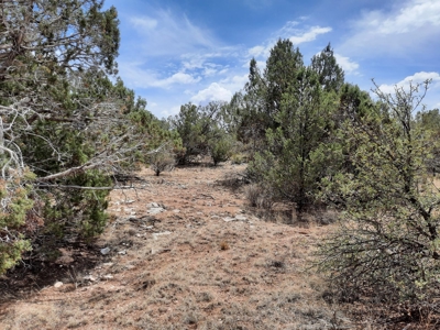 This beautiful 2 acre off- grid property - image 9