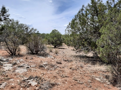 This beautiful 2 acre off- grid property - image 1