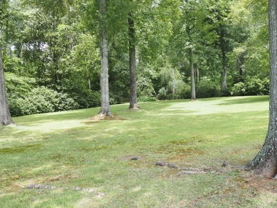 3 Bed, 2 Bath Home with Large Yard in SW Mississippi - image 29