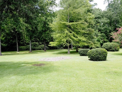 3 Bed, 2 Bath Home with Large Yard in SW Mississippi - image 27