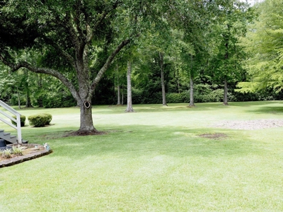 3 Bed, 2 Bath Home with Large Yard in SW Mississippi - image 28