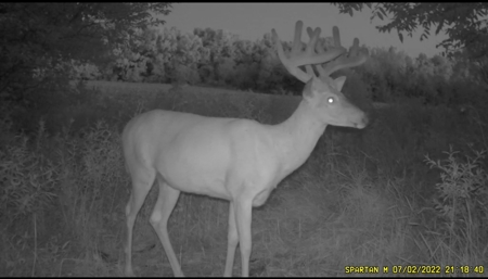 57.8 surveyed acres Schuyler County Missouri - image 4