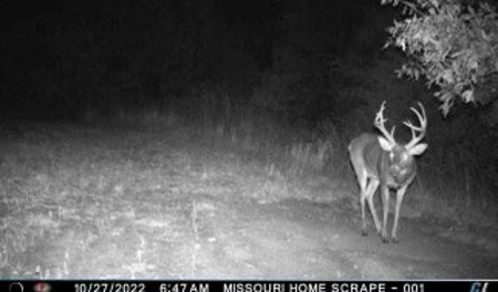57.8 surveyed acres Schuyler County Missouri - image 41