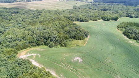 57.8 surveyed acres Schuyler County Missouri - image 9