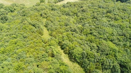 57.8 surveyed acres Schuyler County Missouri - image 13