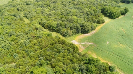57.8 surveyed acres Schuyler County Missouri - image 12