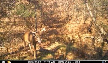 57.8 surveyed acres Schuyler County Missouri - image 37