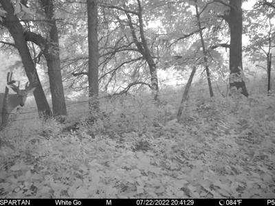 57.8 surveyed acres Schuyler County Missouri - image 2