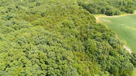 57.8 surveyed acres Schuyler County Missouri - image 11