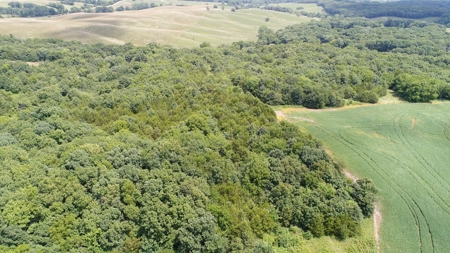 57.8 surveyed acres Schuyler County Missouri - image 10