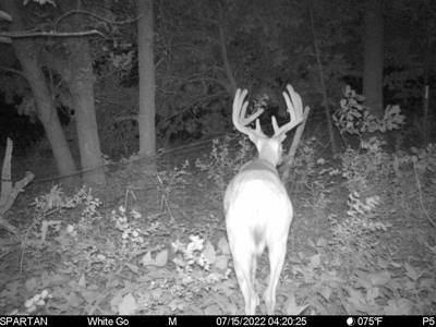 57.8 surveyed acres Schuyler County Missouri - image 3