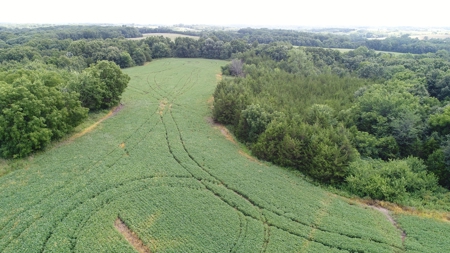 57.8 surveyed acres Schuyler County Missouri - image 17