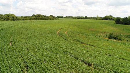 57.8 surveyed acres Schuyler County Missouri - image 27