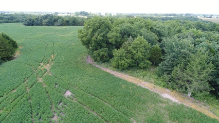 57.8 surveyed acres Schuyler County Missouri - image 15