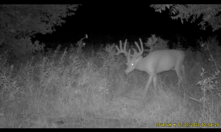 57.8 surveyed acres Schuyler County Missouri - image 5