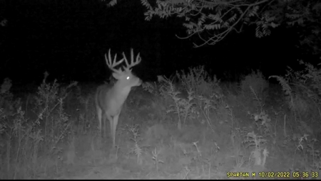 57.8 surveyed acres Schuyler County Missouri - image 33