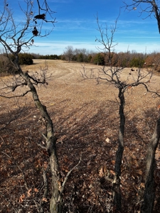 57.8 surveyed acres Schuyler County Missouri - image 40