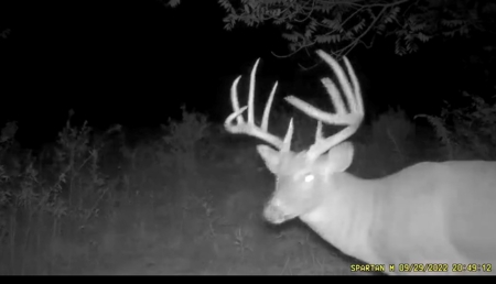 57.8 surveyed acres Schuyler County Missouri - image 42