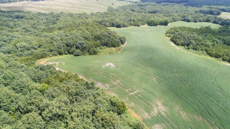 57.8 surveyed acres Schuyler County Missouri - image 8