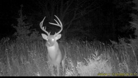 57.8 surveyed acres Schuyler County Missouri - image 34