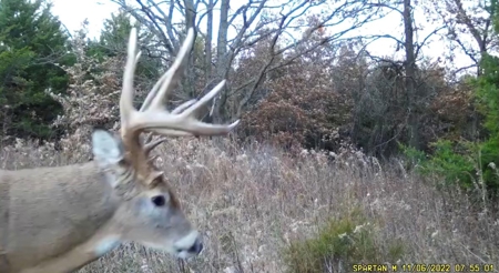 57.8 surveyed acres Schuyler County Missouri - image 35