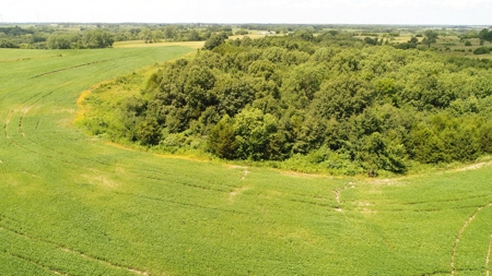 57.8 surveyed acres Schuyler County Missouri - image 21
