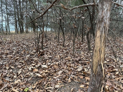 57.8 surveyed acres Schuyler County Missouri - image 36