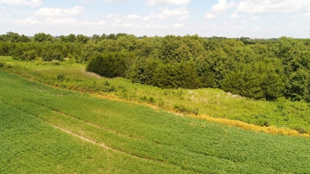 57.8 surveyed acres Schuyler County Missouri - image 26