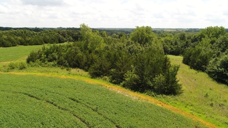57.8 surveyed acres Schuyler County Missouri - image 23