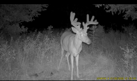 57.8 surveyed acres Schuyler County Missouri - image 1