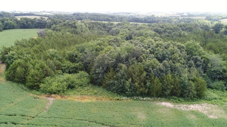 57.8 surveyed acres Schuyler County Missouri - image 18