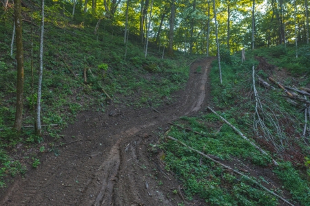 East Tennessee Land for Sale Hawkins County - image 21