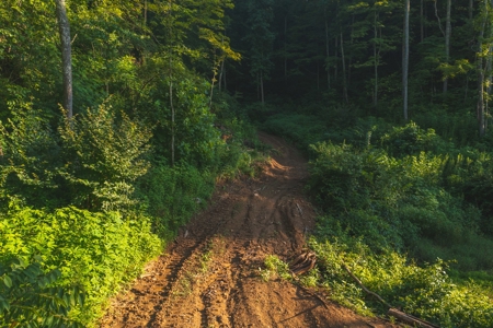 East Tennessee Land for Sale Hawkins County - image 16